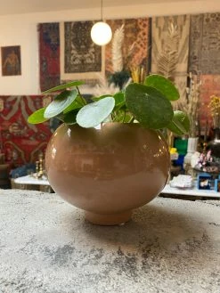 Feng Sway Exclusive Bubblegum Deco Planter