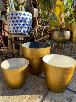 Feng Sway Exclusive Gold Textured Planter (3 Sizes) 6-7" POTS