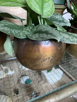Feng Sway ALL POTTERY MCM Brass Globe Planters