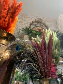 Feng Sway Red Pheasant Feathers DRIED FLORALS + FEATHERS