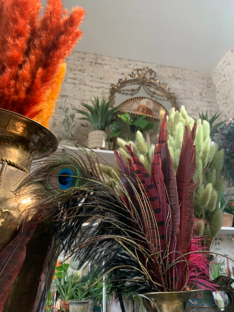 Feng Sway Red Pheasant Feathers DRIED FLORALS + FEATHERS 3 Feng Sway Red Pheasant Feathers DRIED FLORALS + FEATHERS