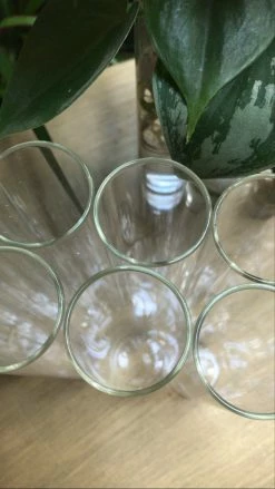 Feng Sway Exclusive Grouped Tube Vase BUD VASES