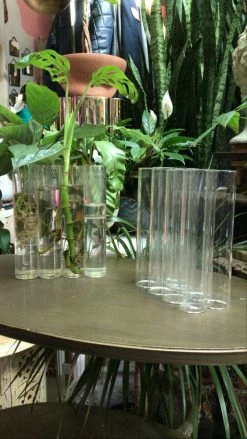 Feng Sway Exclusive Grouped Tube Vase BUD VASES