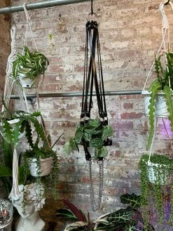 Feng Sway ALL POTTERY Black Vegan Patent With Chain Extender Plant Harness By PURITAN CANDY