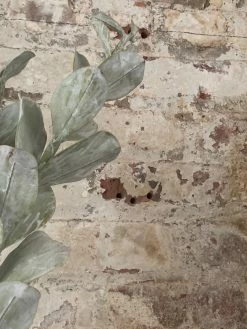 Feng Sway Exclusive PET-FRIENDLY Climbing Faux Succulent