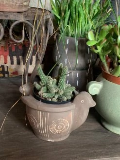 Feng Sway Minimalist Grey Pot W/ White Lines 4-5