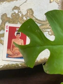 FENG SWAY Rare Models Of All Nations Playing Cards