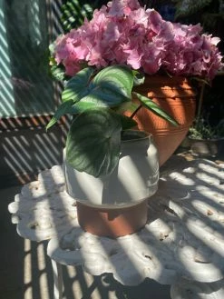 Feng Sway Stogie Pots ~ 3 Sizes 4-5