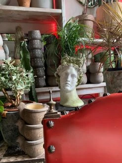 Feng Sway Exclusive FUN Greek Hermes Head Pot