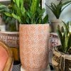 Feng Sway Exclusive 10" POTS Tall Orange Zest Block Print Planter