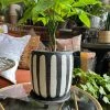 Feng Sway Exclusive Textured Black + White Pot