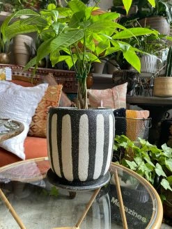 Feng Sway Exclusive Textured Black + White Pot
