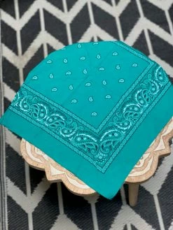 BANDANA + SCARVES Vintage USA Bandana (Multiple Styles)