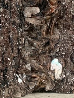 Feng Sway Black Tourmaline With Ruby Mica