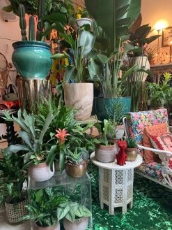 Feng Sway Mexican Terra Cotta Ombré Pot 4-5