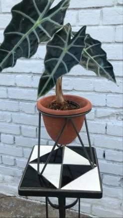 Feng Sway Exclusive Terra-Cotta Planter With Iron Stand ALL POTTERY