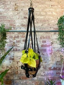 Feng Sway Vegan Black Patent Hanging Plant Harness By PURITAN CANDY ALL POTTERY