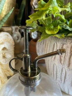 Feng Sway Exclusive ALL GARDEN MCM Globe Glass Plant Mister