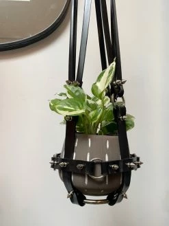 Feng Sway ALL POTTERY Spiky Black + Nickel Vegan Patent Harness By PURITAN CANDY