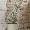 Feng Sway Exclusive PET-FRIENDLY Climbing Faux Succulent