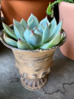 Feng Sway Exclusive Pastel Mini Distressed Metal Urn ALTAR TOYS