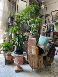 Feng Sway Tulum Bamboo Plant Basket ~ Two Sizes 6-7