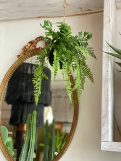 Feng Sway Exclusive Faux Kokedama Fern Plant FAUX + PRESERVED