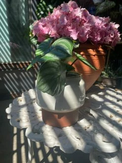 Feng Sway Stogie Pots ~ 3 Sizes 4-5