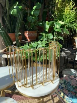 Feng Sway Exclusive Iron Test Tube Propagation Set