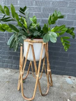 Feng Sway Exclusive Metal Planter W Bamboo Stand ALL POTTERY