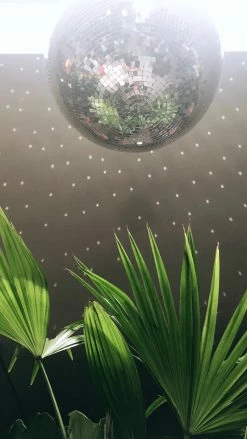 Feng Sway FUN Garden Disco Ball