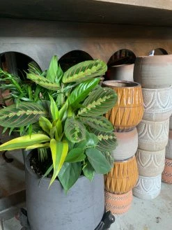 Feng Sway Mexican Terra Cotta Ombré Pot 4-5