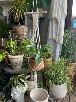 Feng Sway Exclusive Decorative Macrame Plant Hanger