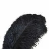 Feng Sway Charcoal Ostrich Feathers DRIED FLORALS + FEATHERS 2 Feng Sway Charcoal Ostrich Feathers DRIED FLORALS + FEATHERS