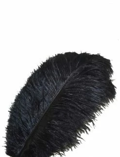 Feng Sway Charcoal Ostrich Feathers DRIED FLORALS + FEATHERS