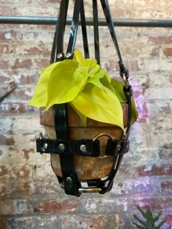 Feng Sway Vegan Black Patent Hanging Plant Harness By PURITAN CANDY ALL POTTERY