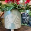 Feng Sway Sage Rainbow Footed Planter