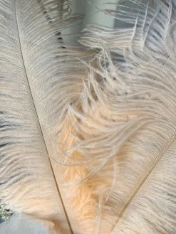 Feng Sway Peach Ostrich Feathers