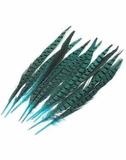Feng Sway Turquoise Pheasant Feathers DRIED FLORALS + FEATHERS