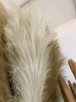 Feng Sway FAUX + PRESERVED Mint Faux Pampas Stems