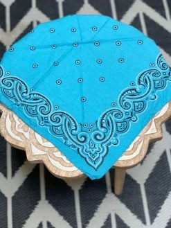 BANDANA + SCARVES Vintage USA Bandana (Multiple Styles)