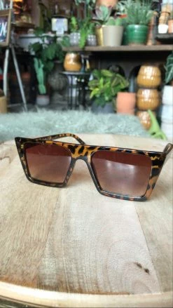 Feng Sway Hip To Be Square Tortoise Sunnies