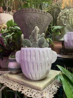 Feng Sway Exclusive 6-7