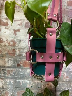 Feng Sway Real Pink Leather Hanging Plant Harness By PURITAN CANDY ALL POTTERY