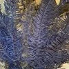 Feng Sway Navy Dried Fern Leaf Bundle DRIED FLORALS + FEATHERS