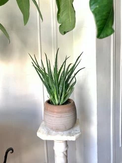 Feng Sway Mexican Terra Cotta Ombré Pot 4-5" POTS