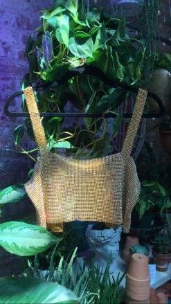 Feng Sway Exclusive Metal Mesh Disco Crop Top