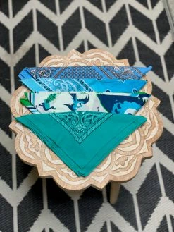 BANDANA + SCARVES Vintage USA Bandana (Multiple Styles)