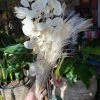 Feng Sway Exclusive Angel Bouquet