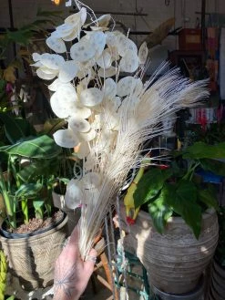 Feng Sway Exclusive Angel Bouquet